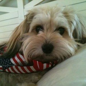 Meet your Posher, Setsuko